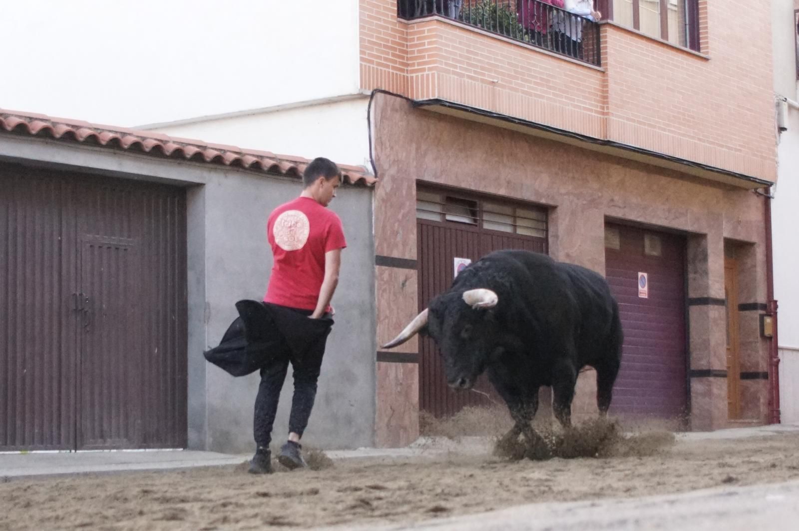 Toro del cajón y capea en Alba de Tormes