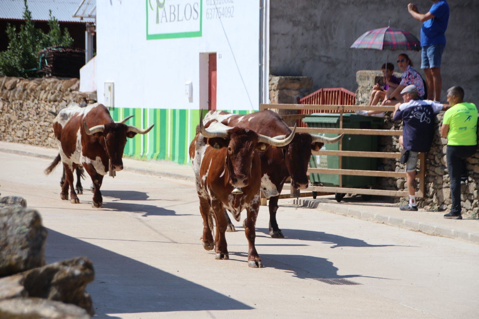 Lumbrales encierro a caballo