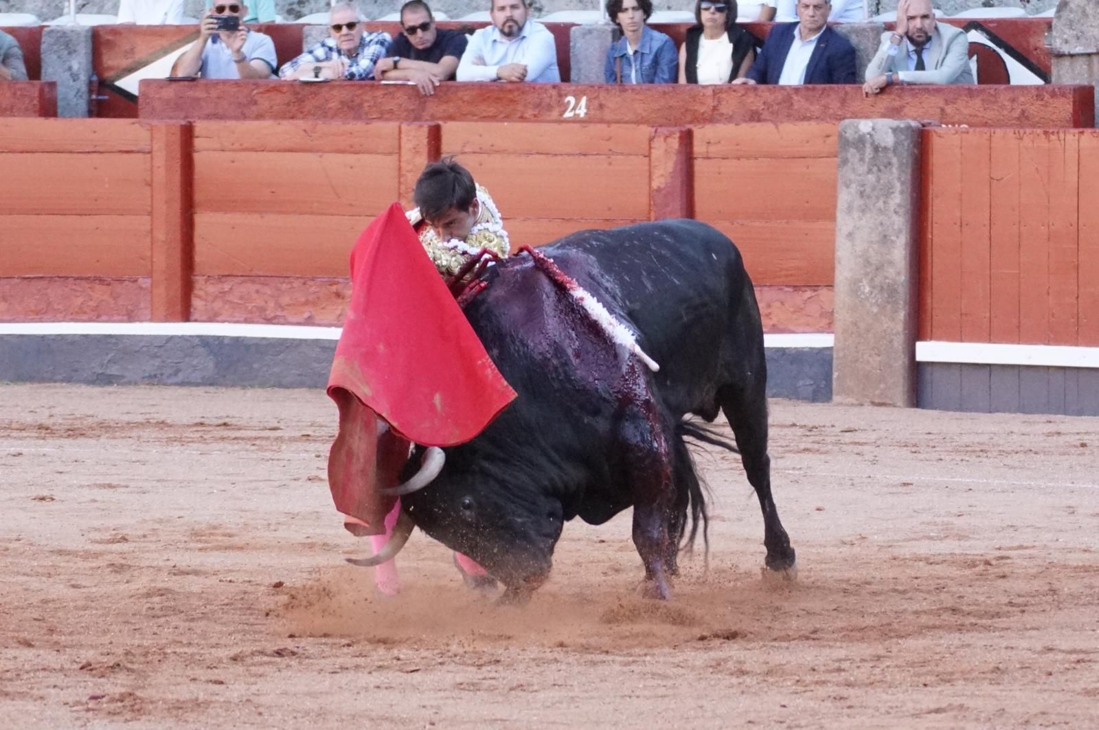 Presencia salmantina por partida doble en la primera corrida de la feria: Damián Castaño e Ismael Martín junto al mexicano Diego San Román