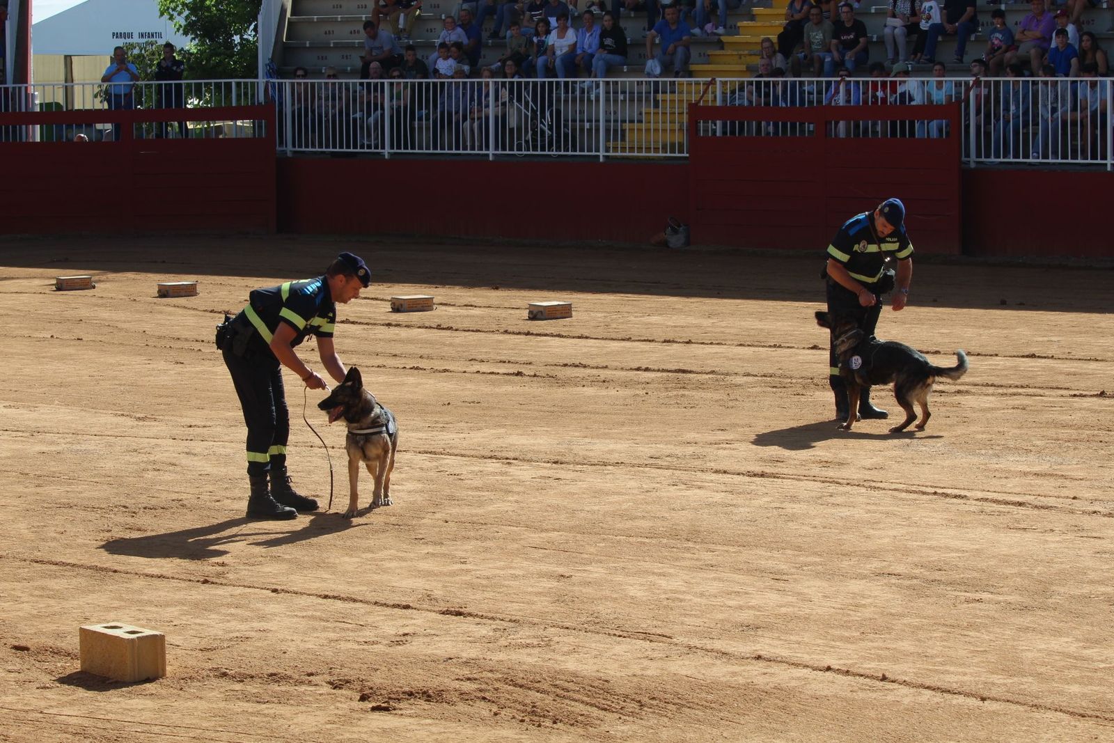 20230905122752-img-7952