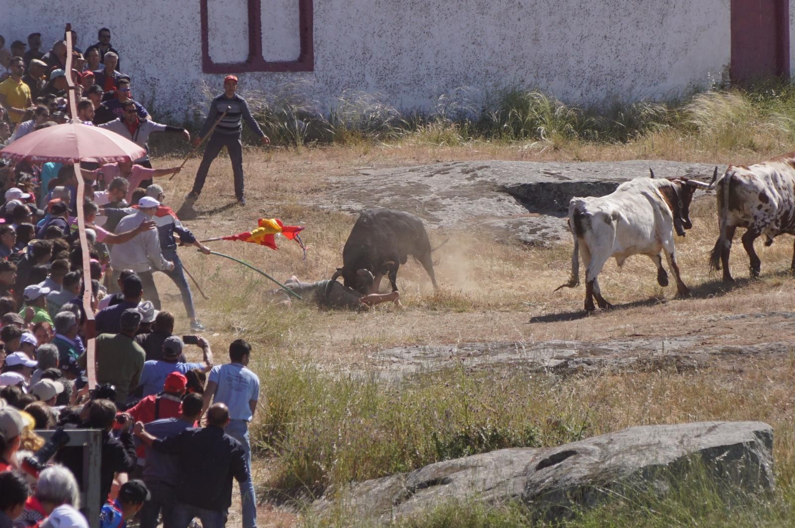 herido-un-hombre-tras-ser-volteado-por-un-astado-en-los-espantos-de-ledesma-foto-juanes-3