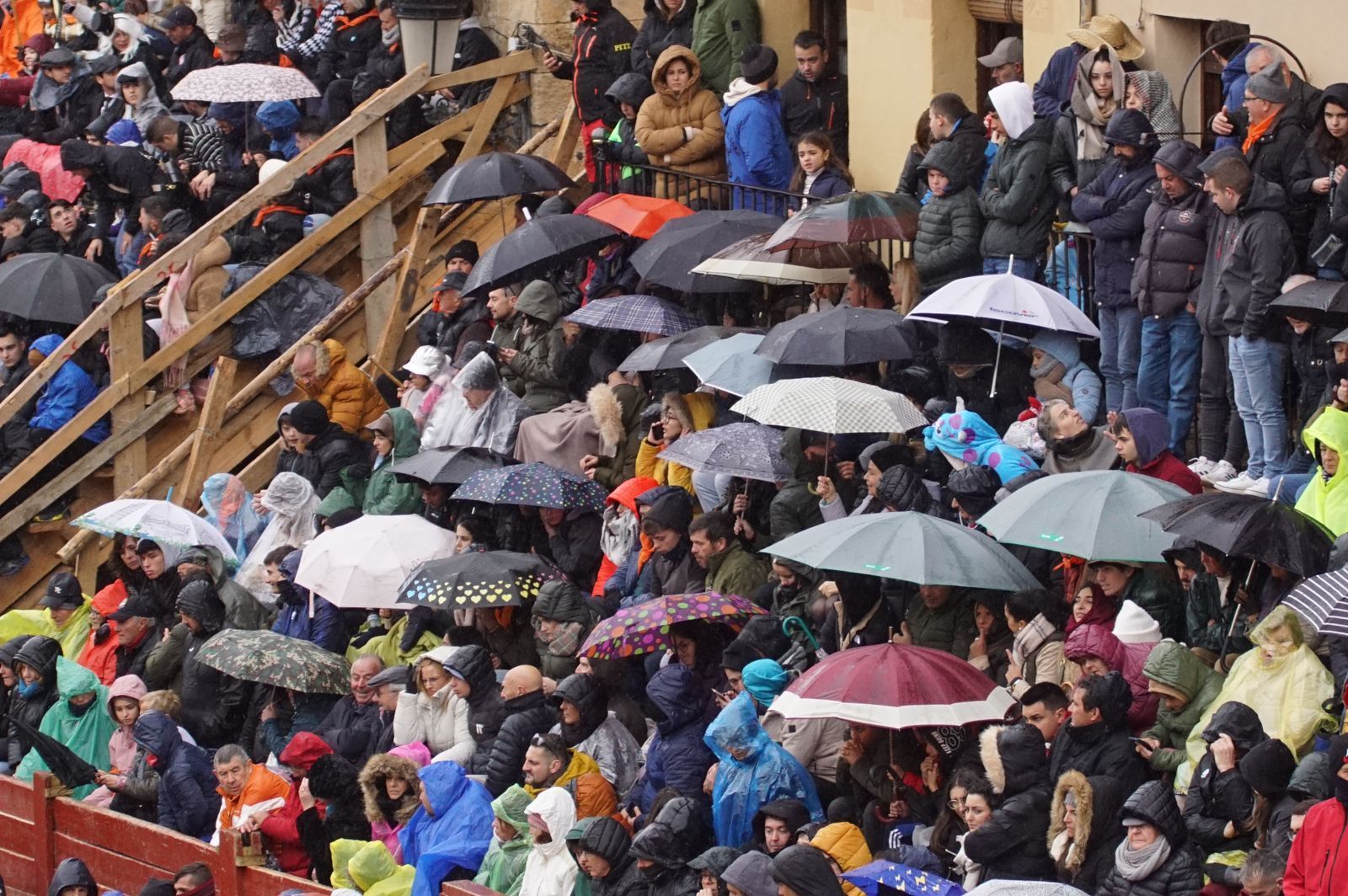 whatsapp-image-2024-02-11-at-14-02-44