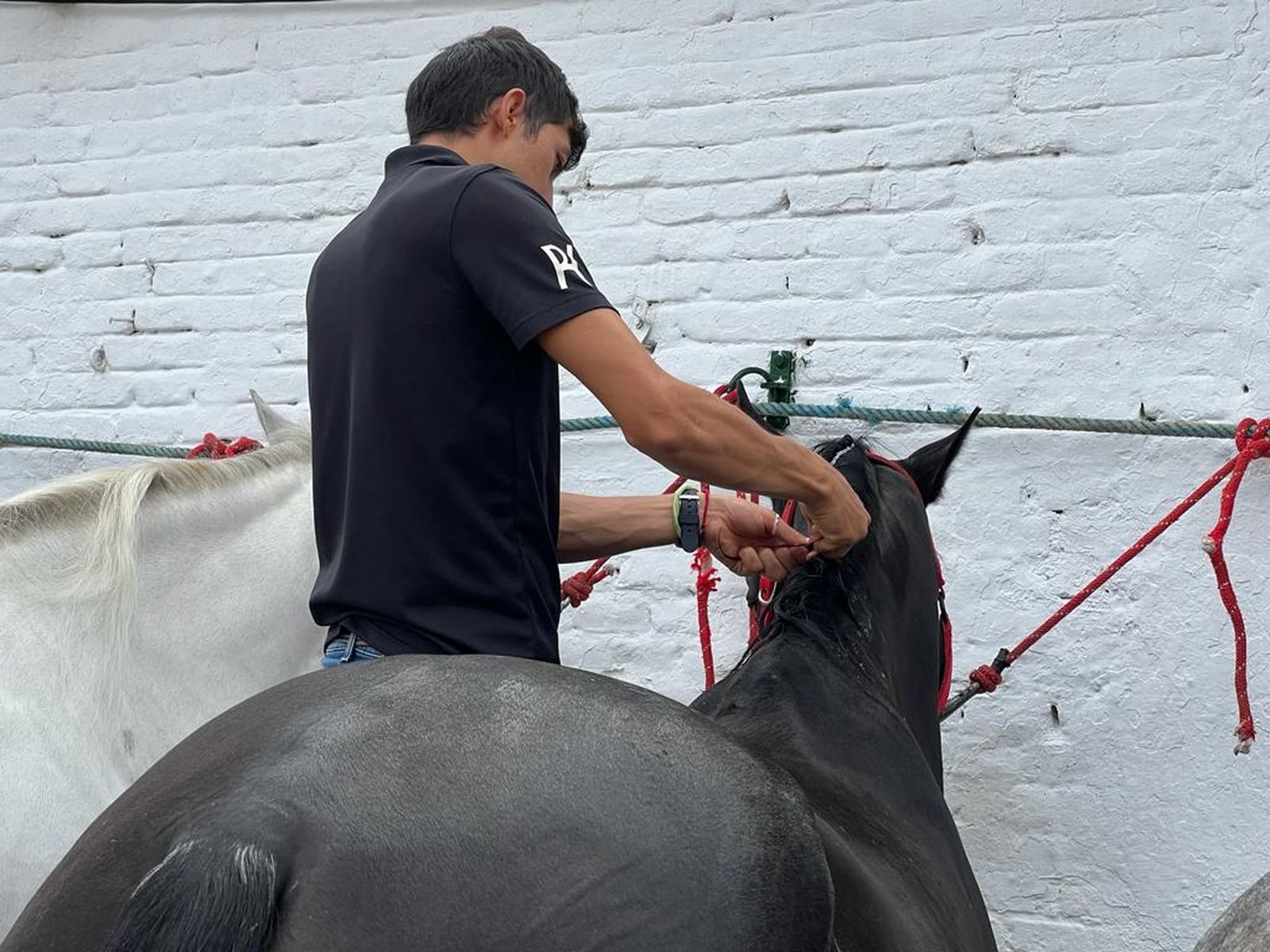 whatsapp-image-2023-09-09-at-12-19-19-1