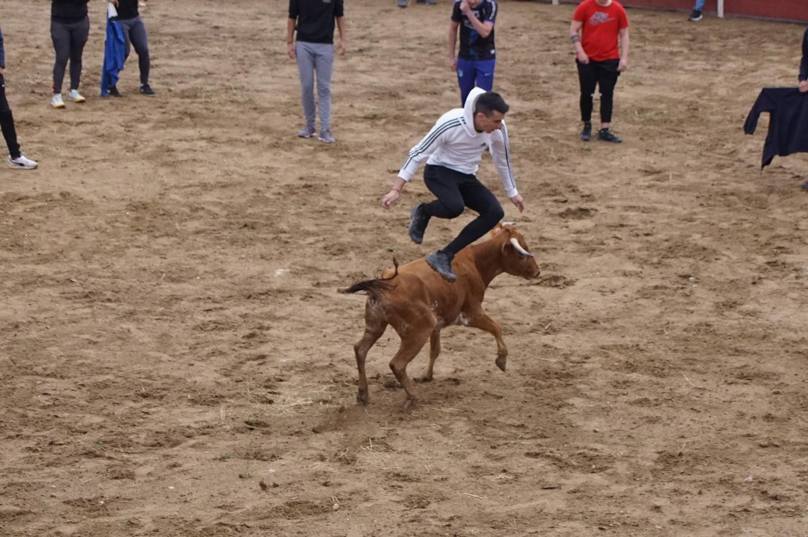 whatsapp-image-2023-05-22-at-20-19-28