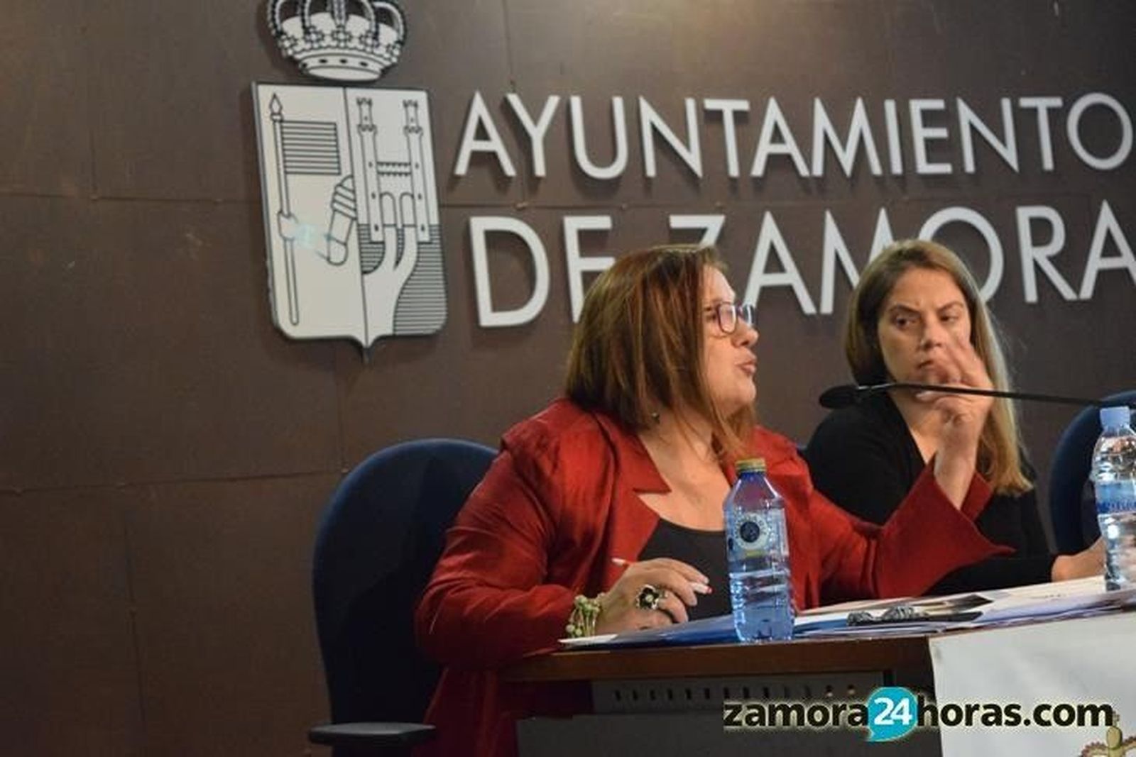 “La Junta aprobó la posibilidad de ratificar el Convenio de regulación de trabajadoras domésticas”