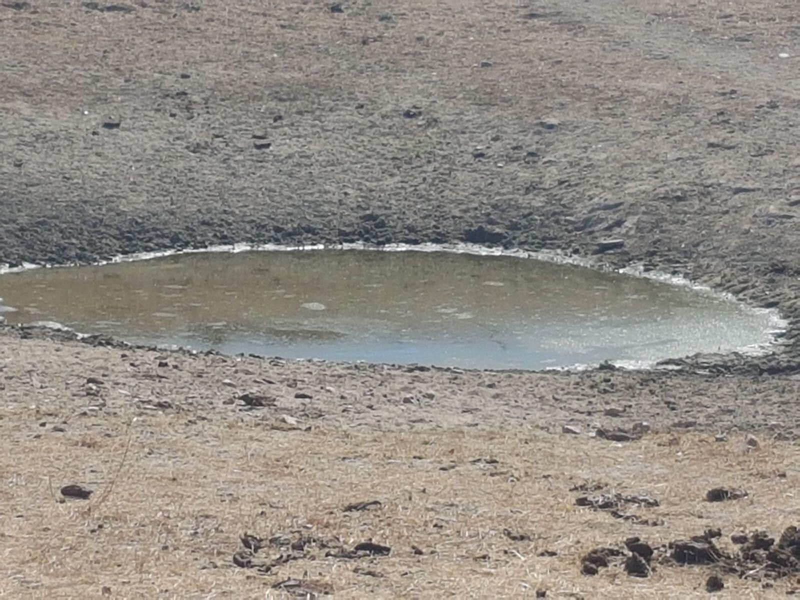 WhatsApp Image 2019 08 12 at 13.08.22 (1)