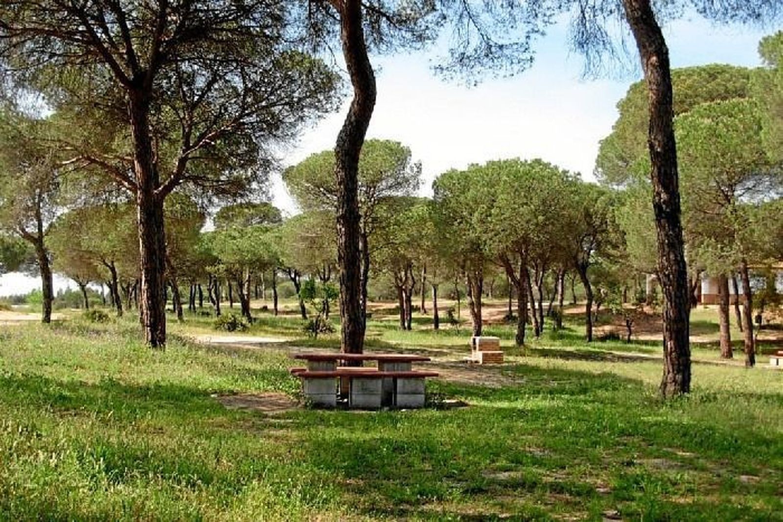 Nuevo parque castellanos