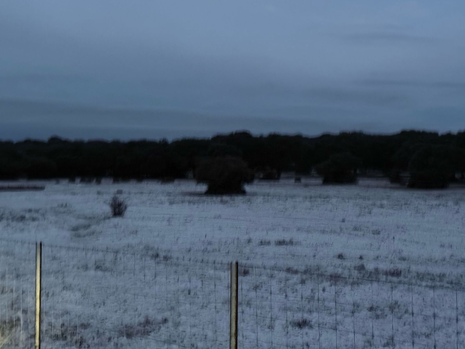 whatsapp-image-2025-03-02-at-07-58-12