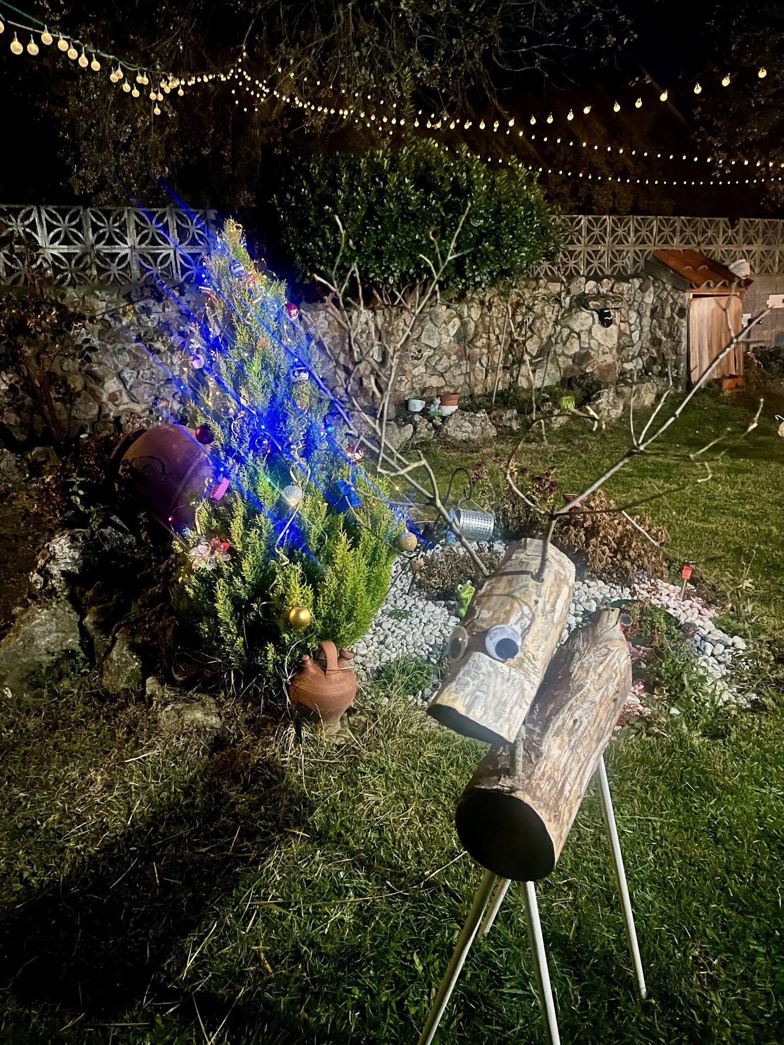 M.R.G.R. - Decoración navideña situada en una vivienda de El Arco (4).jpeg