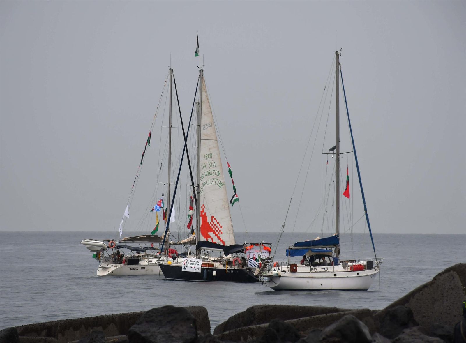 Imagen de la flortilla