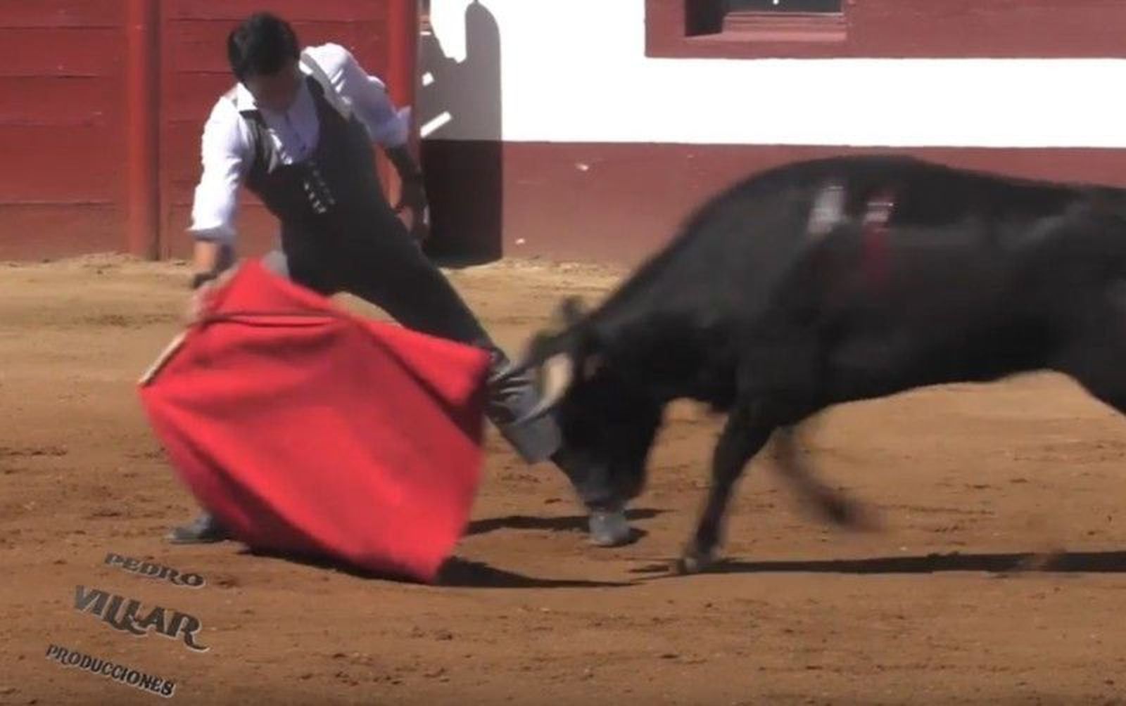 Tentadero de El Cid en la ganadería de Montalvo