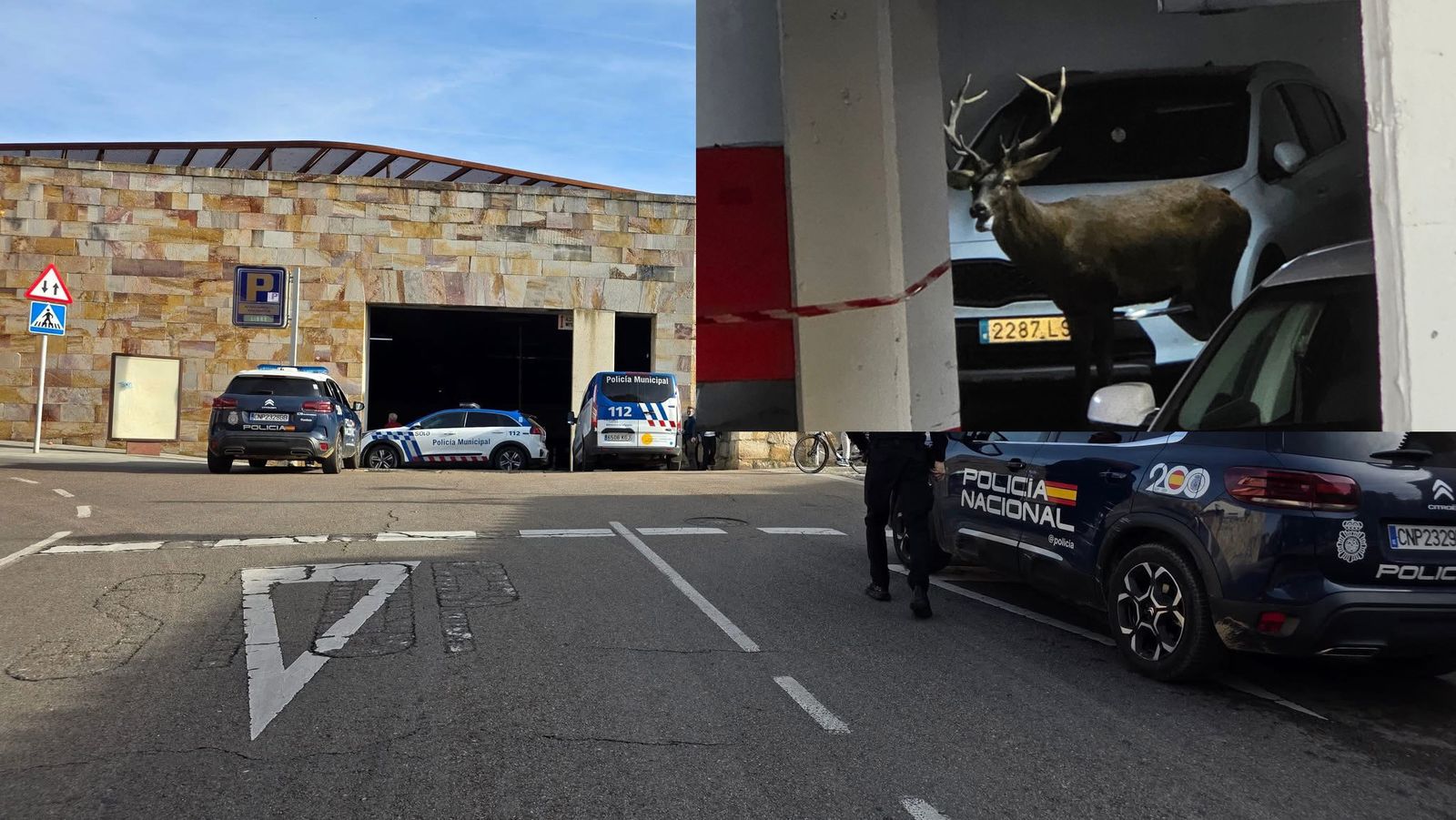 Imagen del despliegue