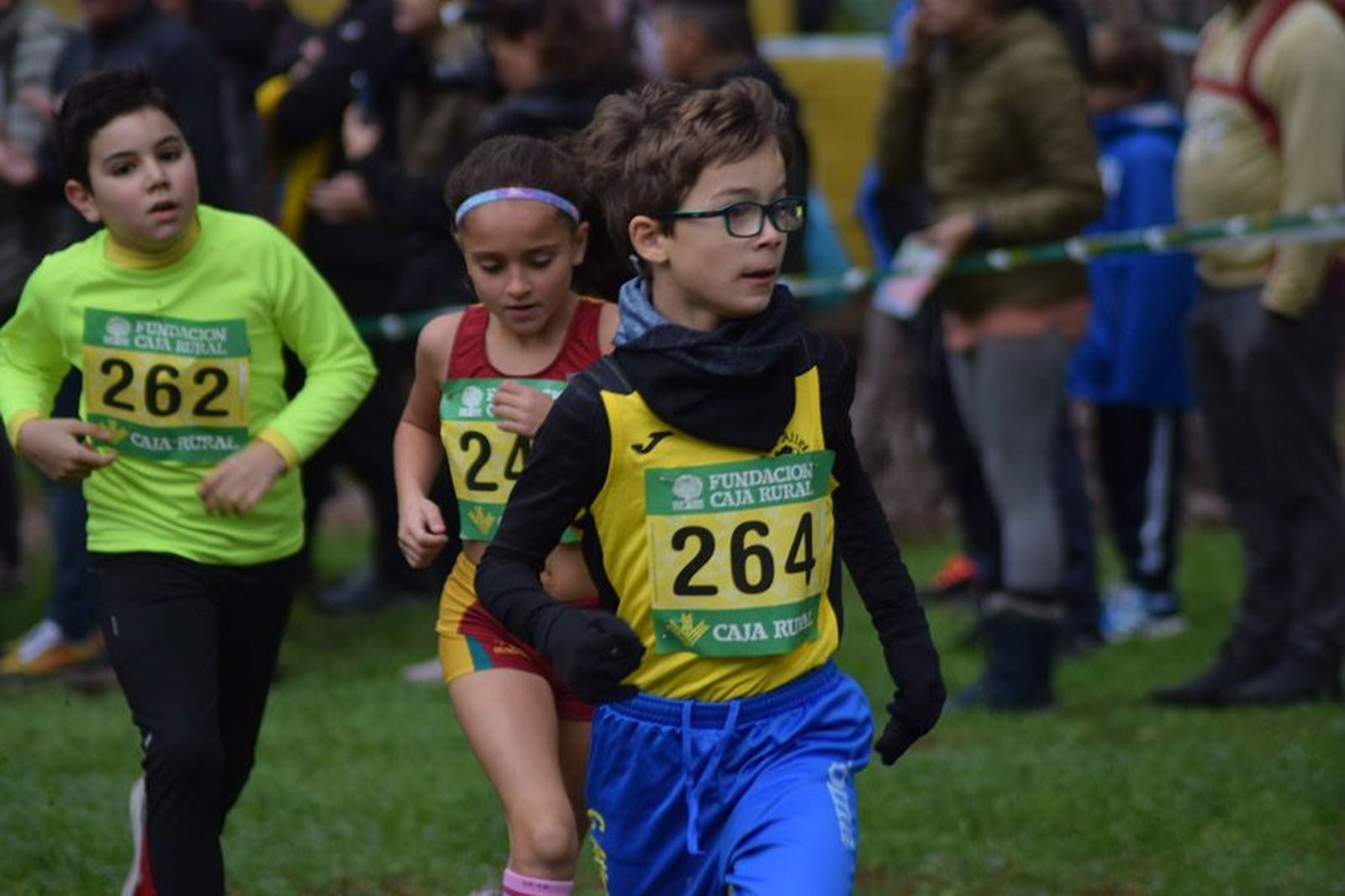 cross-de-otono-en-el-bosque-de-valorio-58