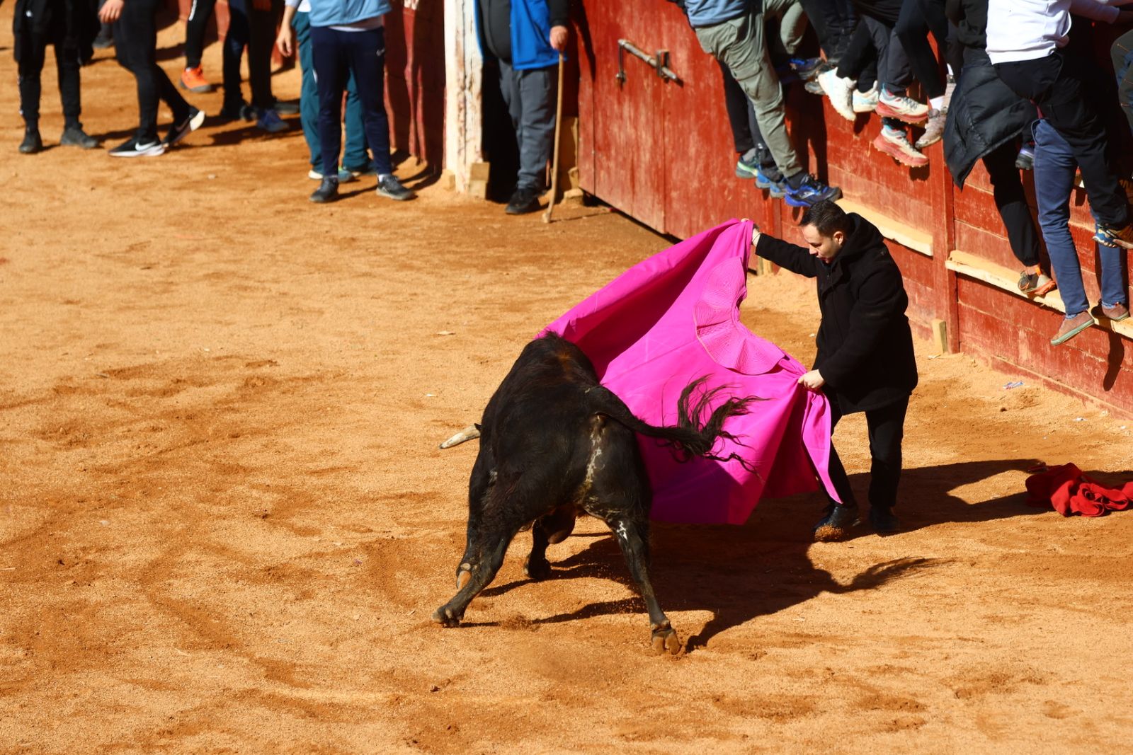 Capea de mañana en el martes del Carnaval del Toro de Ciudad Rodrigo