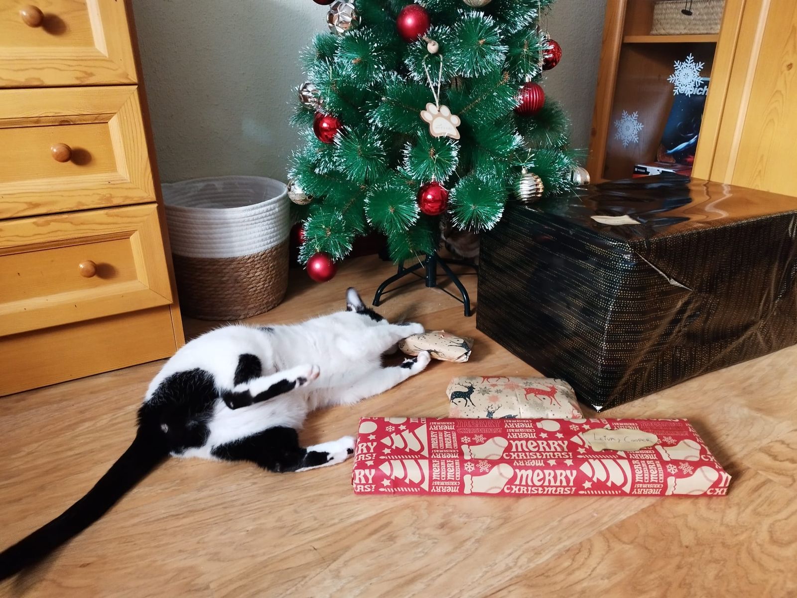 whatsapp-image-2024-01-06-at-11-05-23