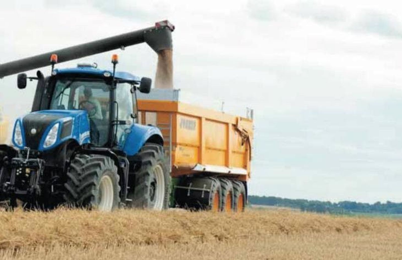 La Junta subvenciona con 308.125 euros a la Unión de Asociaciones Ganaderas para el Control Lechero de Castilla y León. Foto de archivo