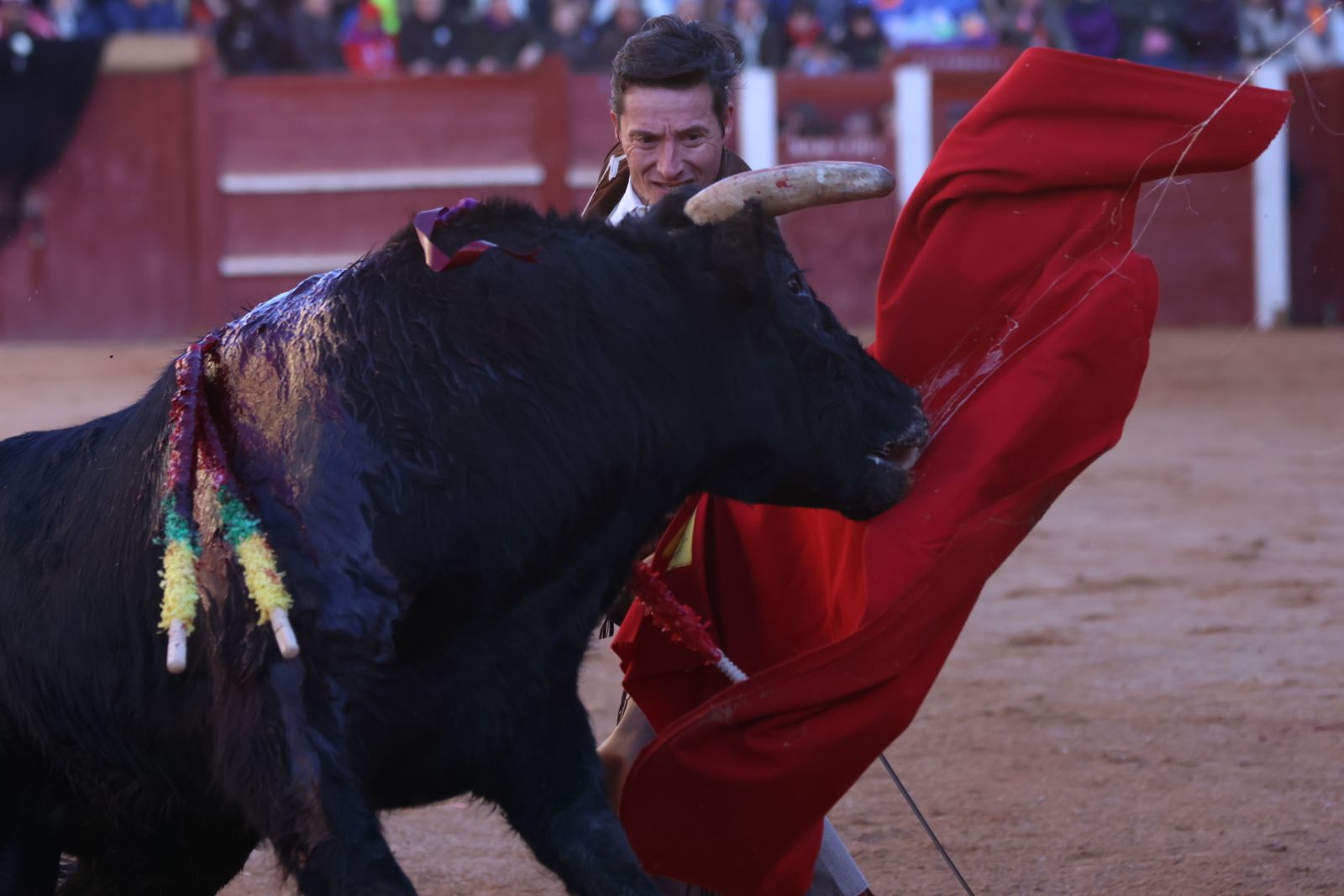Festival taurino del Sábado en el Carnaval del Toro 2026 de Ciudad Rodrigo