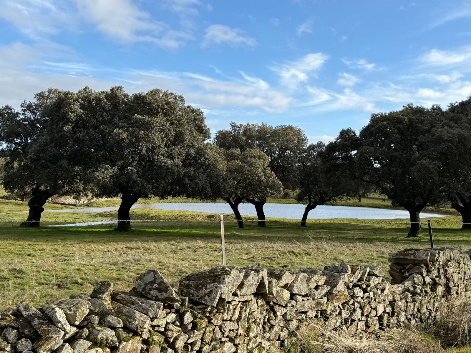 El campo anegado de agua en la zona del Campo Charro