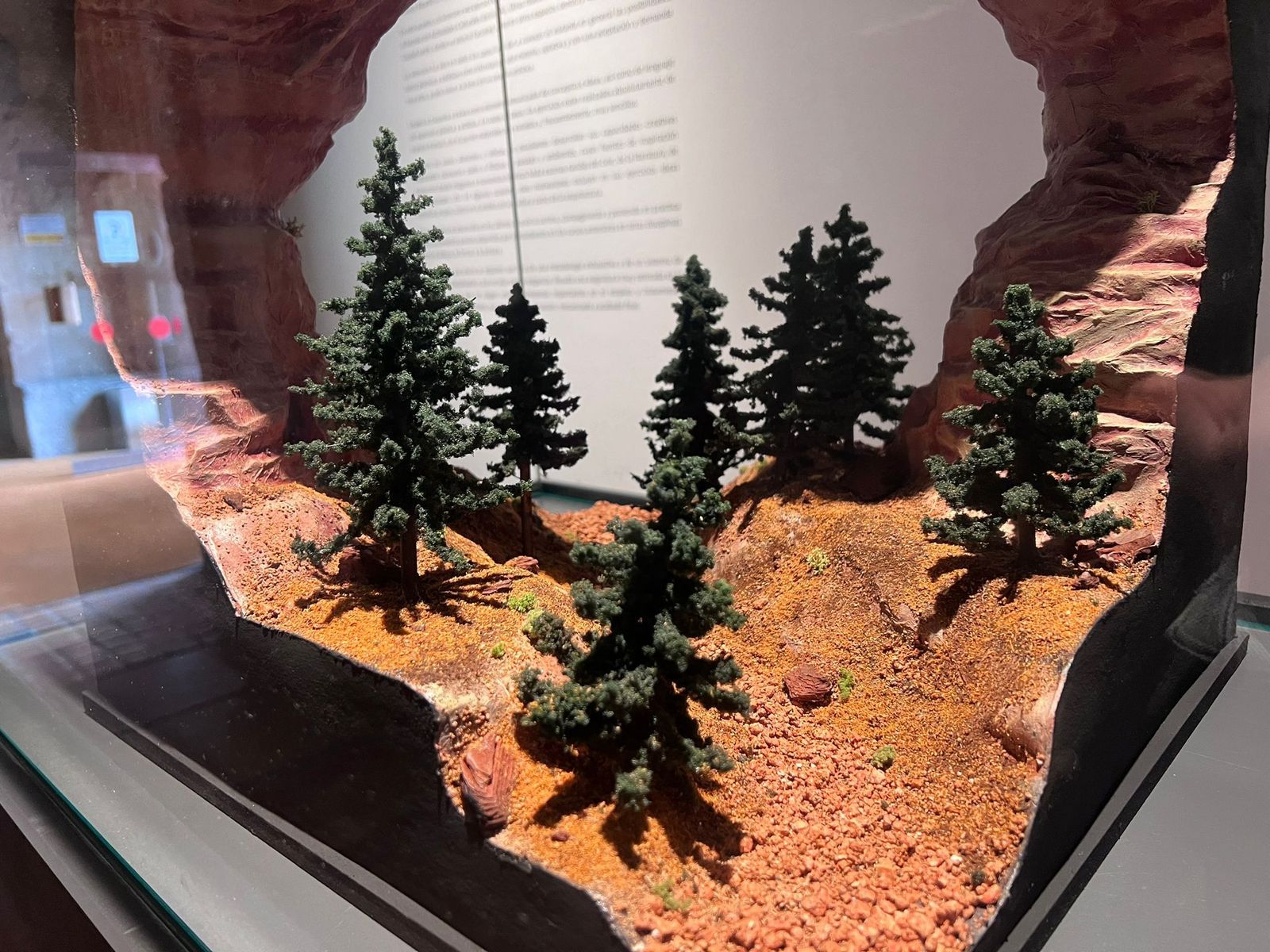 whatsapp-image-2024-06-18-at-11-34-17-1