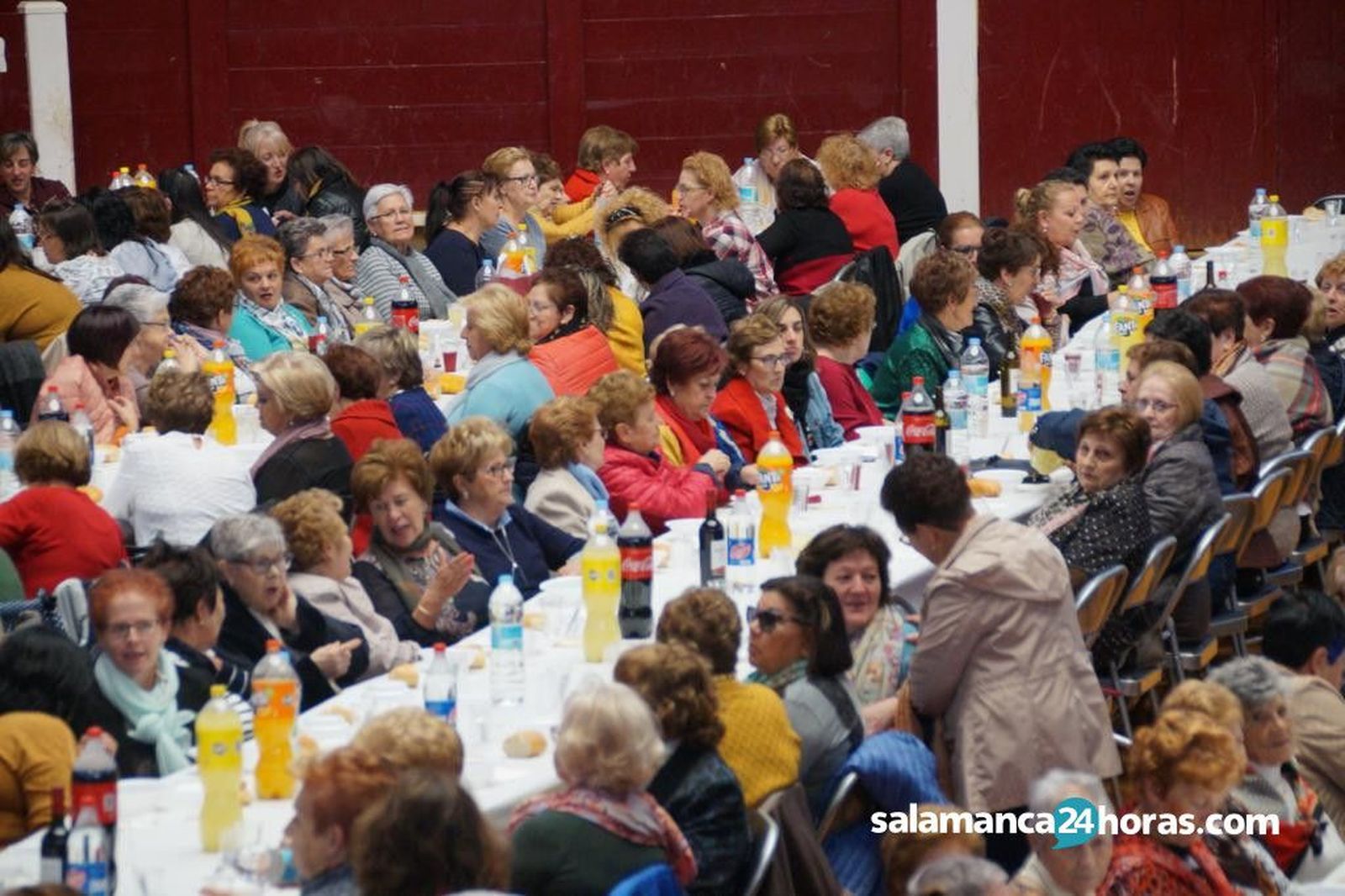 WhatsApp Image 2019 10 16 at 15.40.11 (9)