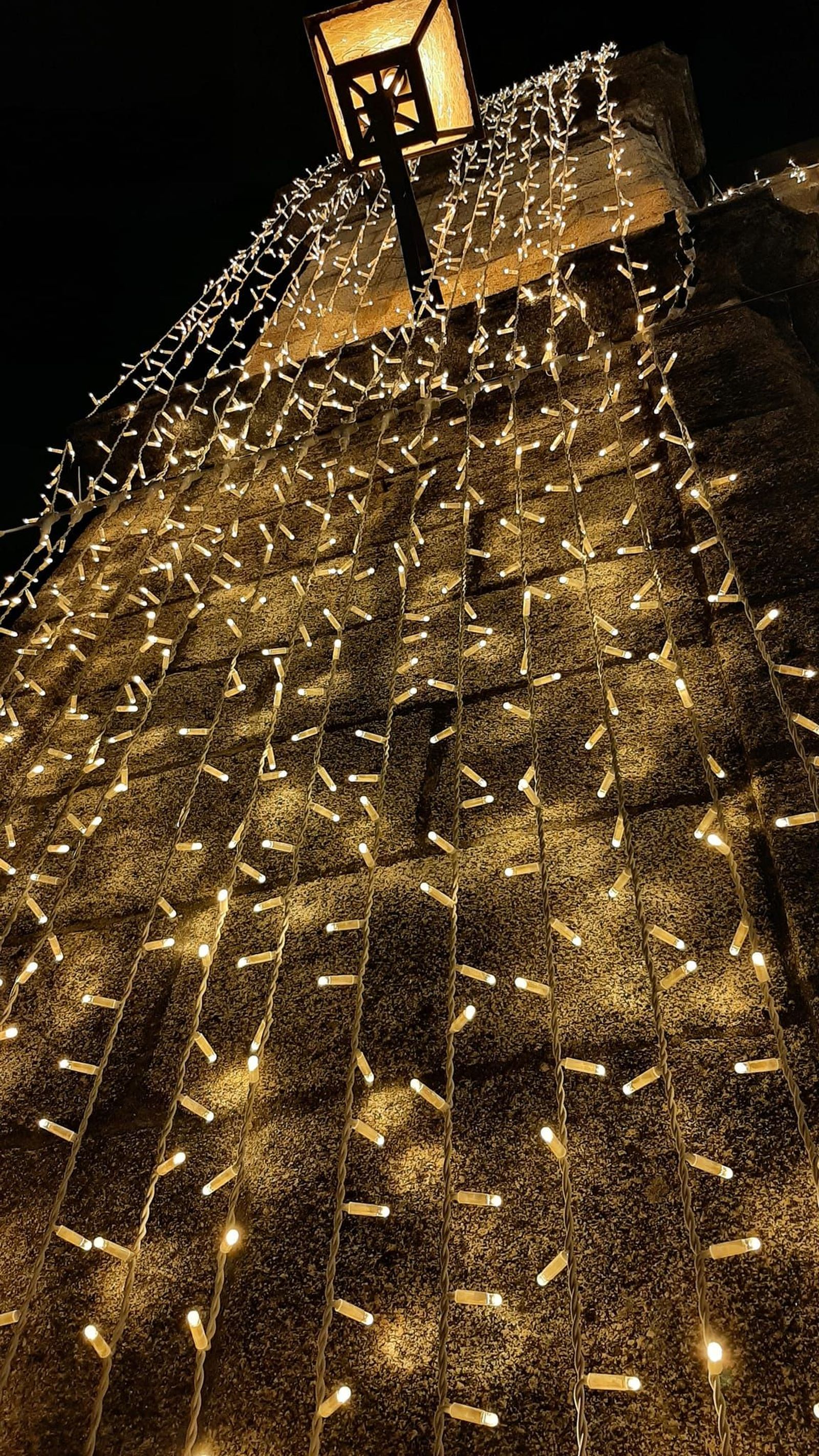 262320616-4555894324493528-7287199799178184540-n