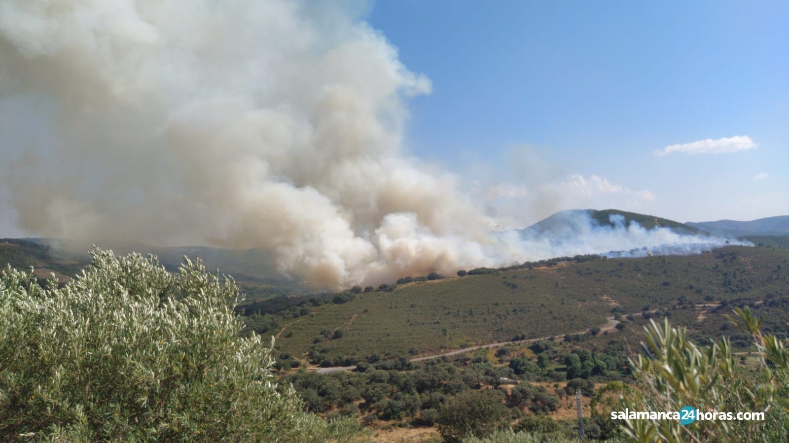 Incendio Lagunilla (2)