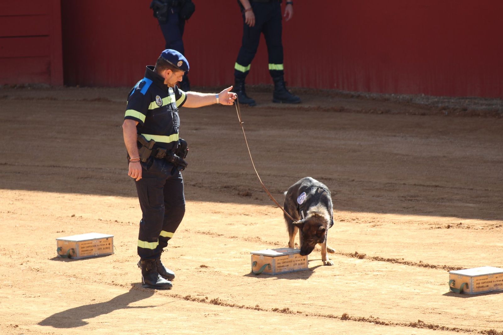 20230905123106-img-7977