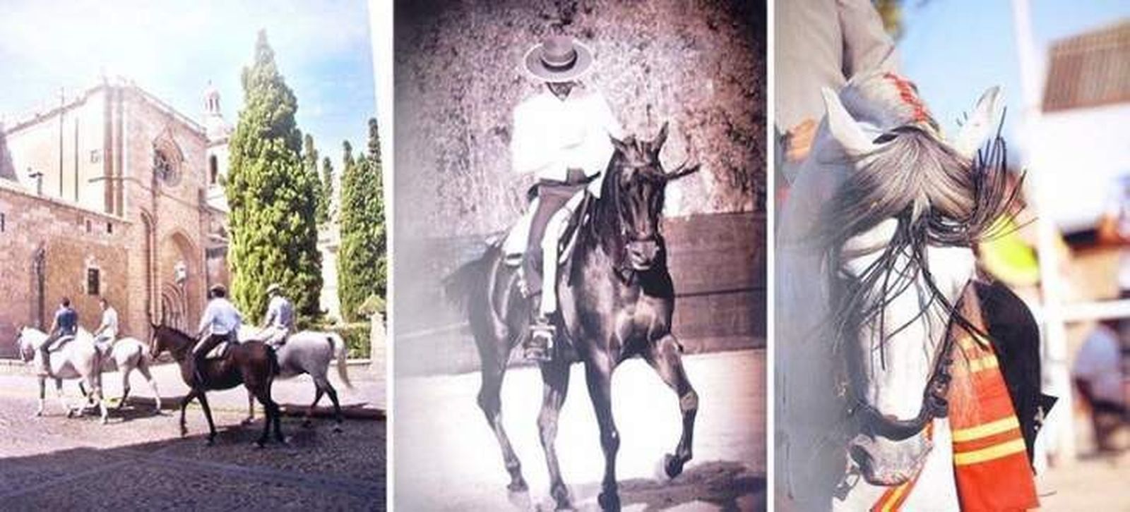 Convocado el concurso fotográfico de la Feria del Caballo