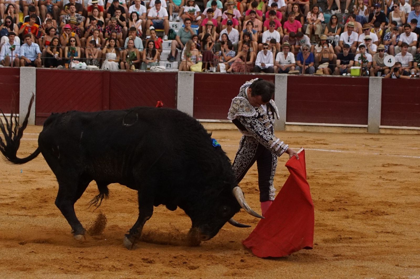 Javier Castaño se despide de Guijuelo y Damián Castaño, su hermano, e Ismael Martín salen a hombros en Guijuelo