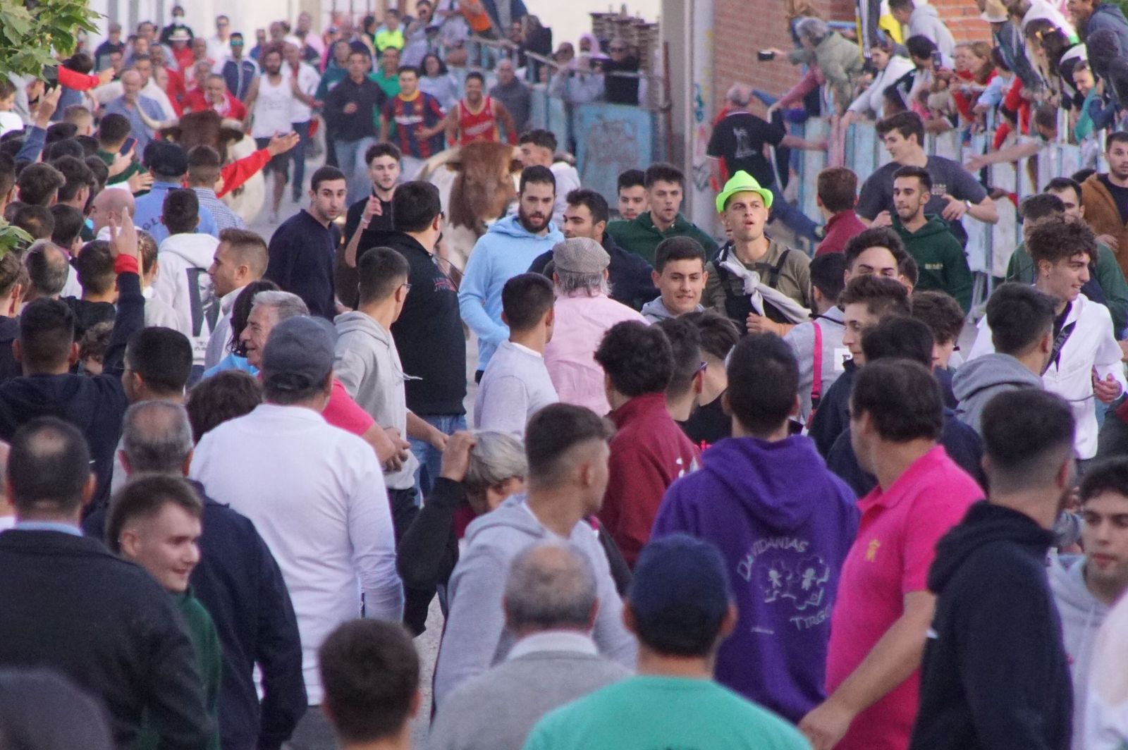 5dbaf669-4829-4c2d-9d7f-ec3ea5174a29