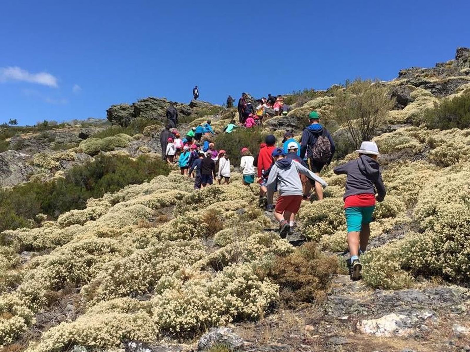 Doney campamento niños verano monte