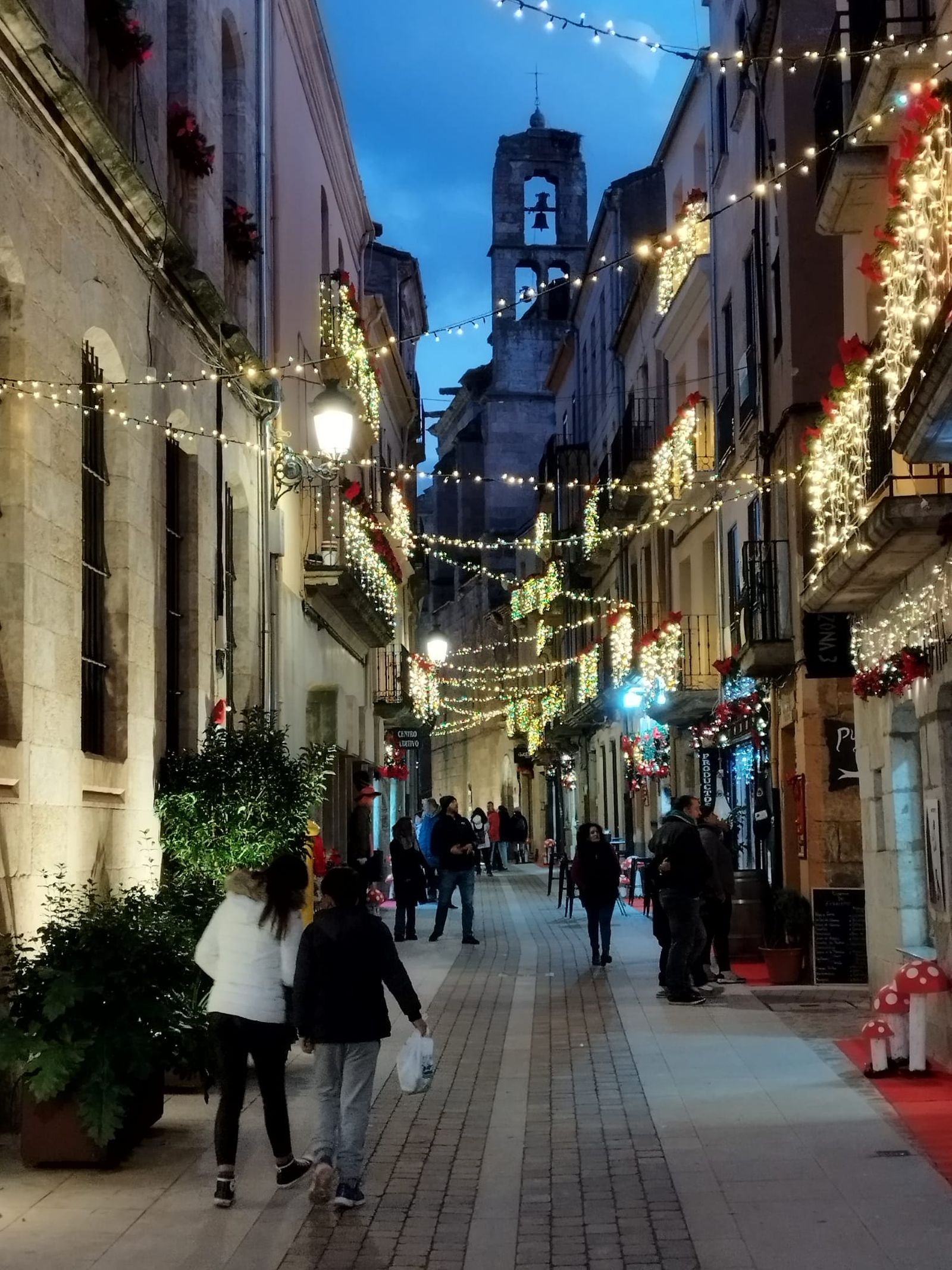 whatsapp-image-2022-12-03-at-21-03-48-1