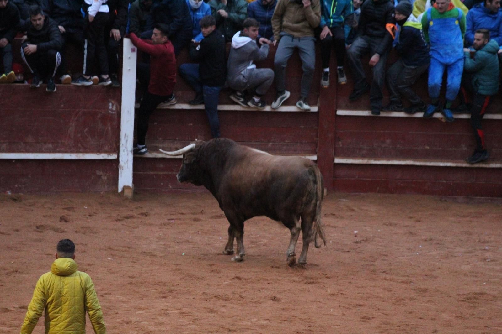 ambiente-y-capea-vespertina-sabado-de-carnaval-en-ciudad-rodrigo-2025-fotos-belen-hurtado-53