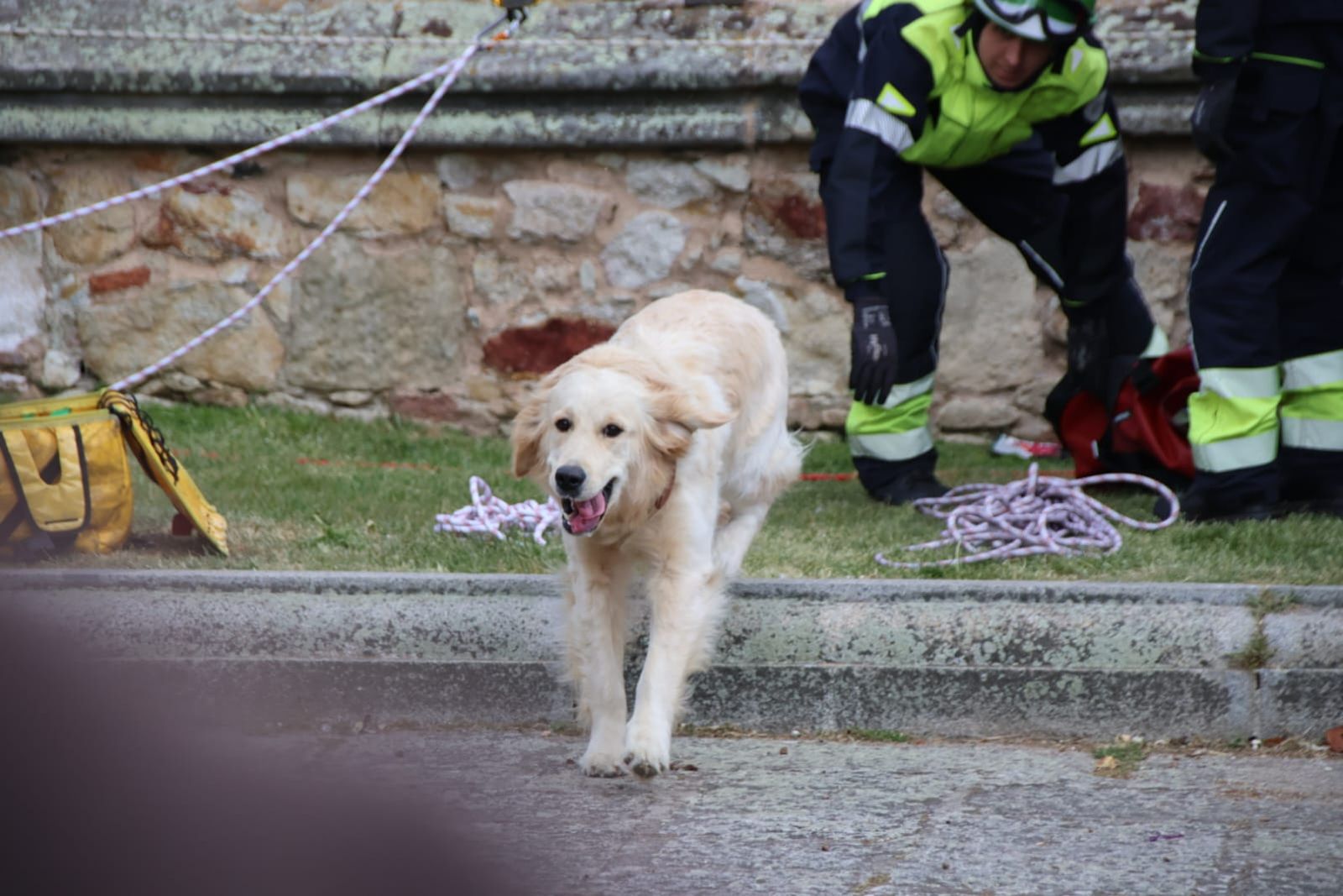 Los bomberos rescatan a un perro en el Jardín Botánico de Salamanca. Fotos Andrea M. (3)