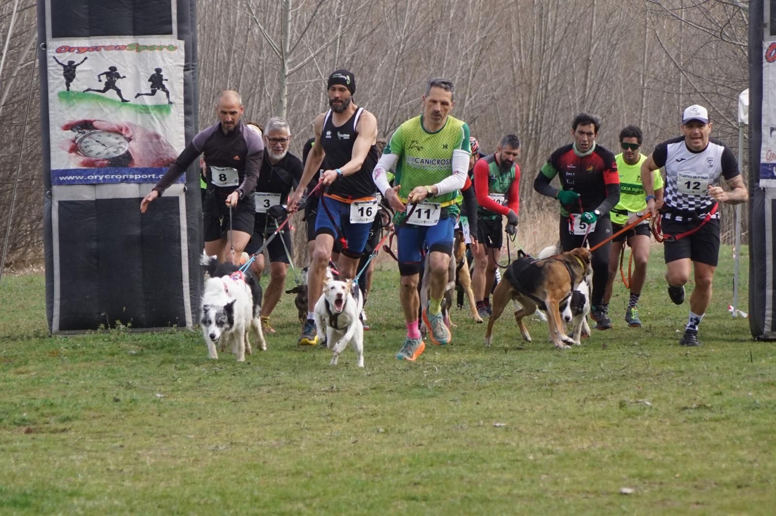 iv-canicross-alba-de-tormes-2