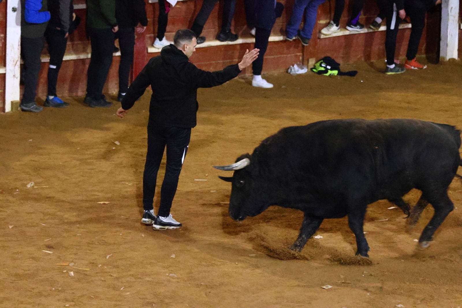 Capea nocturna de lunes en el Carnaval del Toro 2026