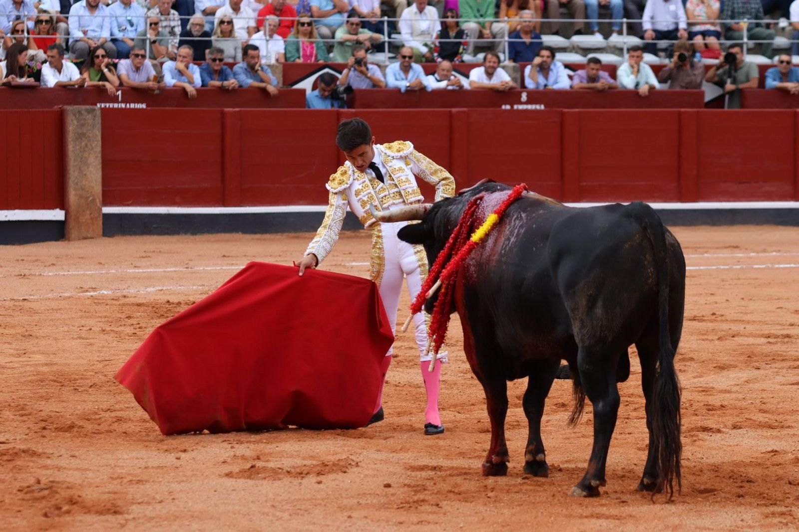 20230910180305-img-1994