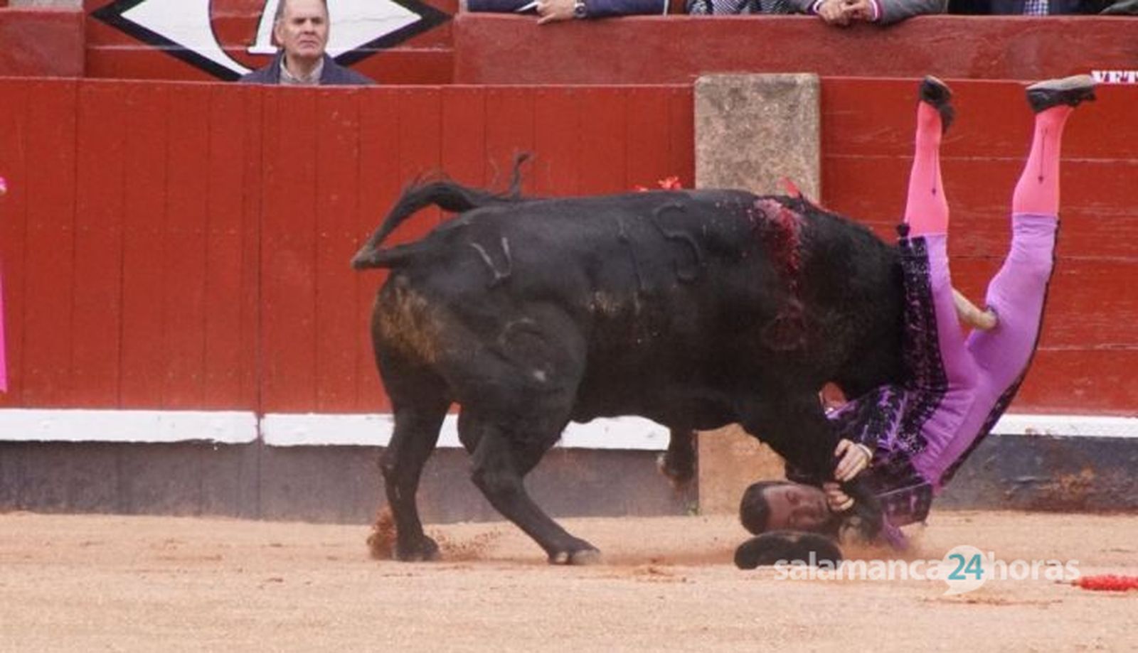 GALERÍA | Corrida concurso de despedida de López Chaves y El Juli: momentos más destacados del último festejo de abono de la Feria Taurina Virgen de la Vega 2023. Fotos Juanes