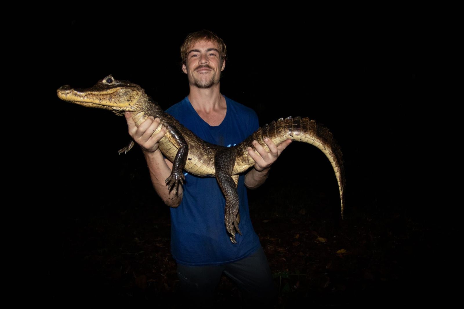 Max experto cocodrilo 2