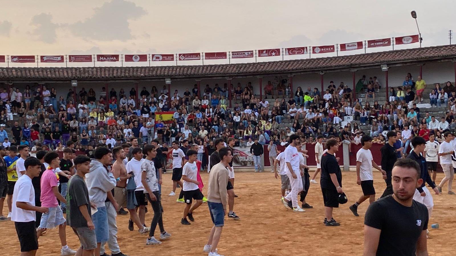 Vaquillas Guijuelo (1)