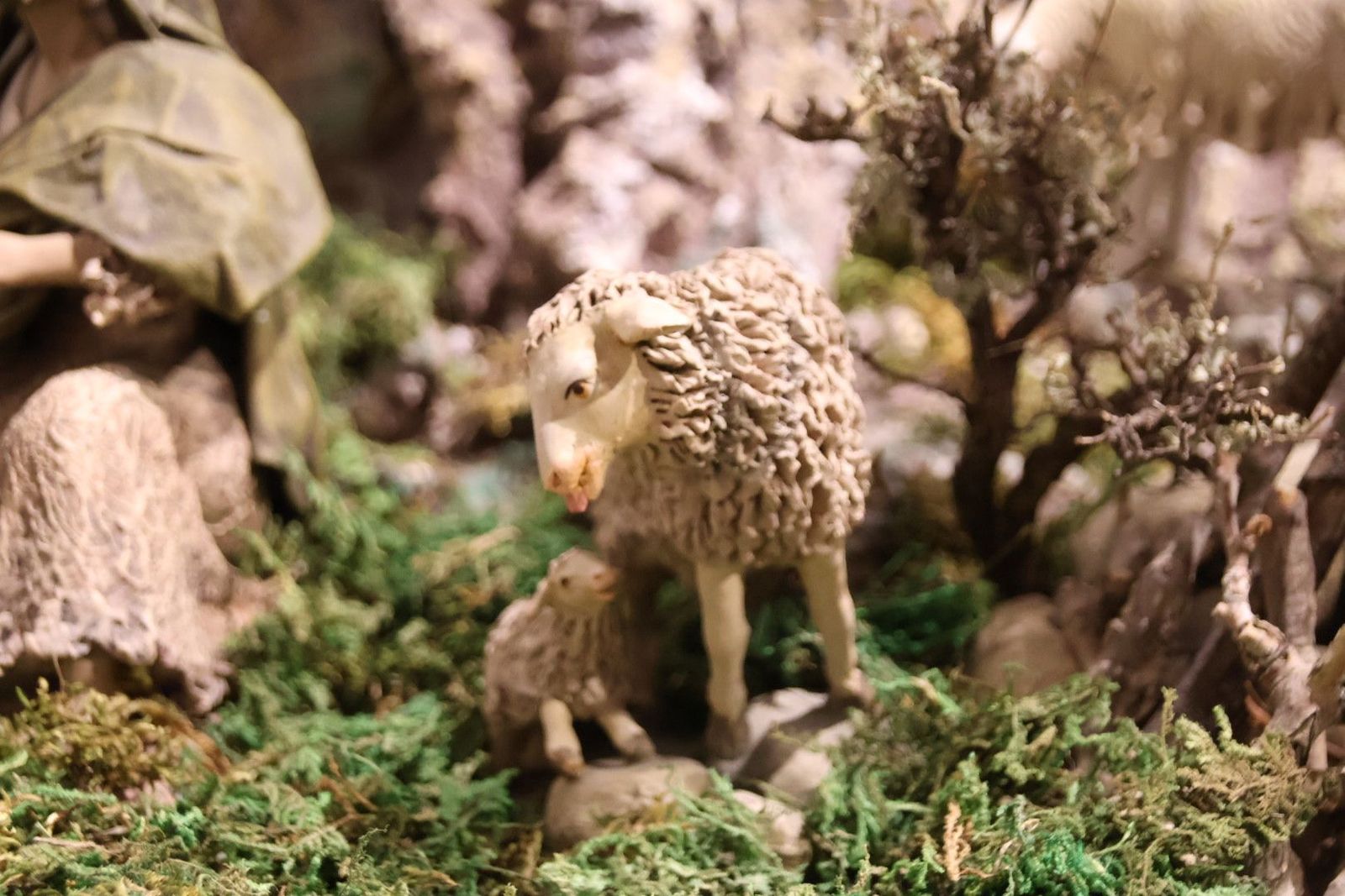 20231201133911-img-5028