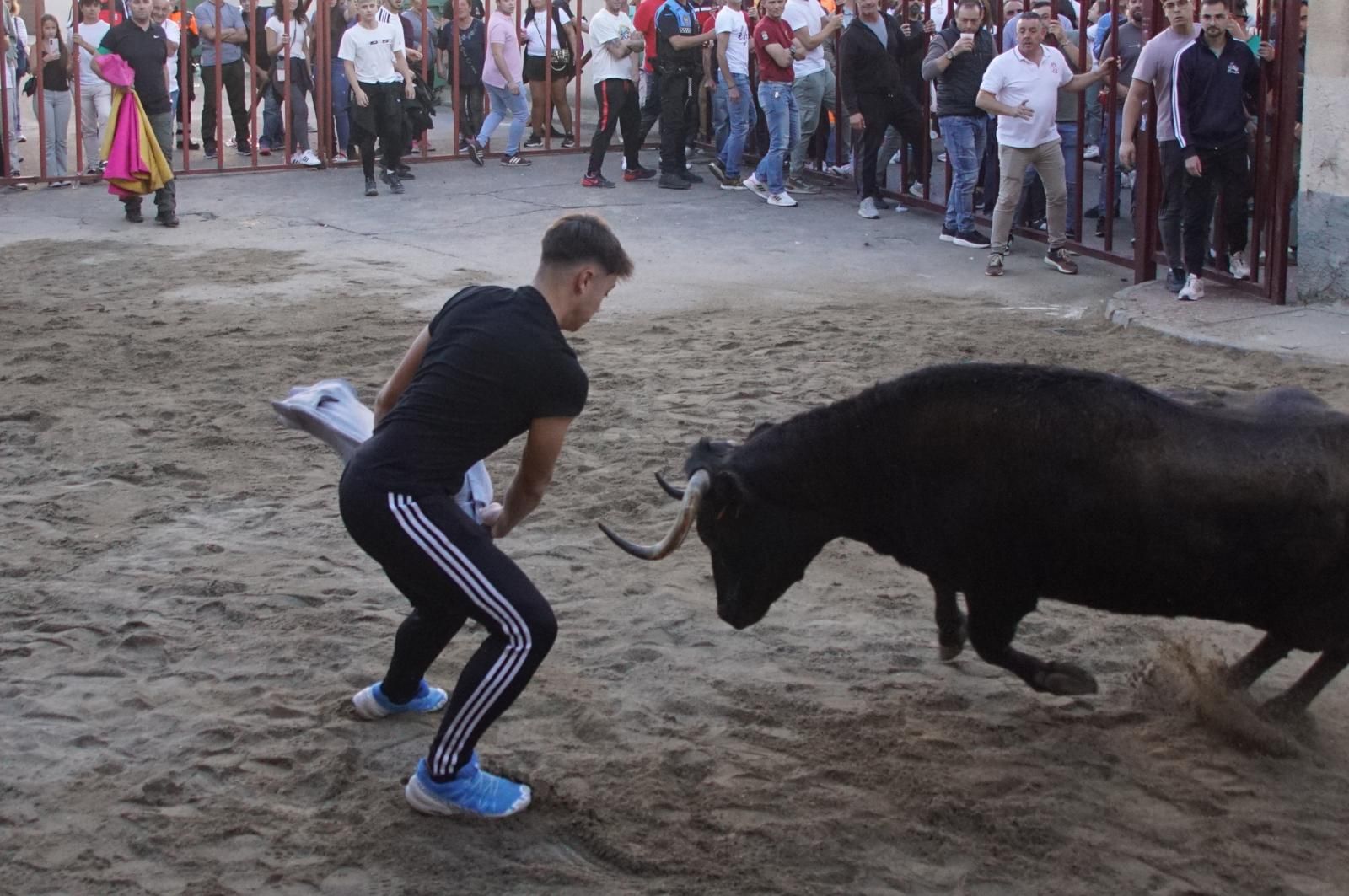 Toro del cajón y capea en Alba de Tormes