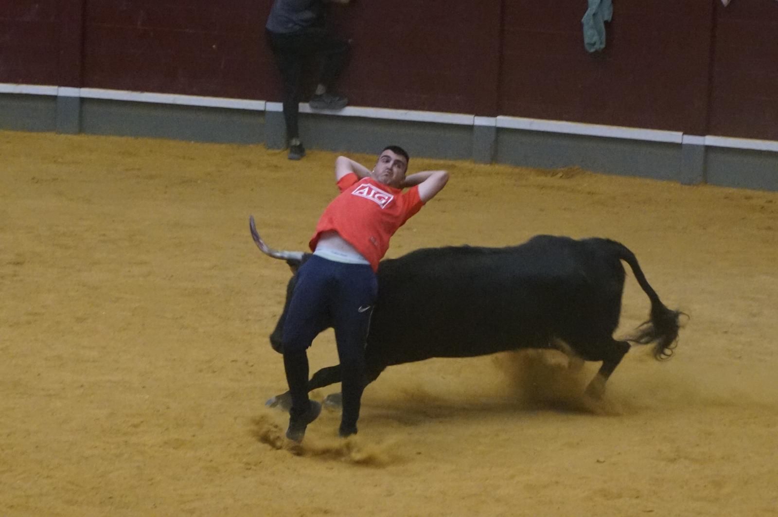 Toro del cajón y capea en Alba de Tormes