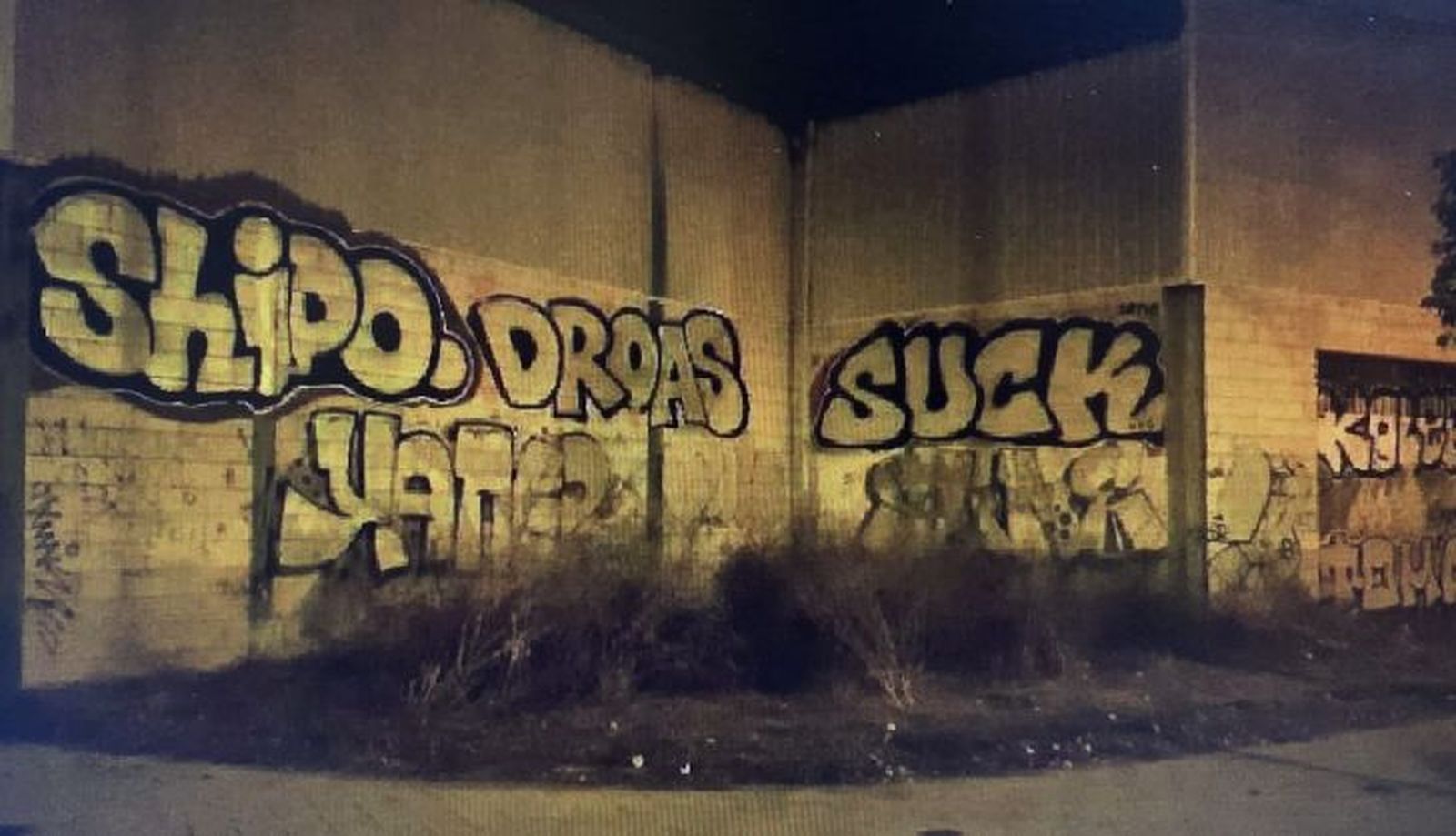 Imagen de las pintadas