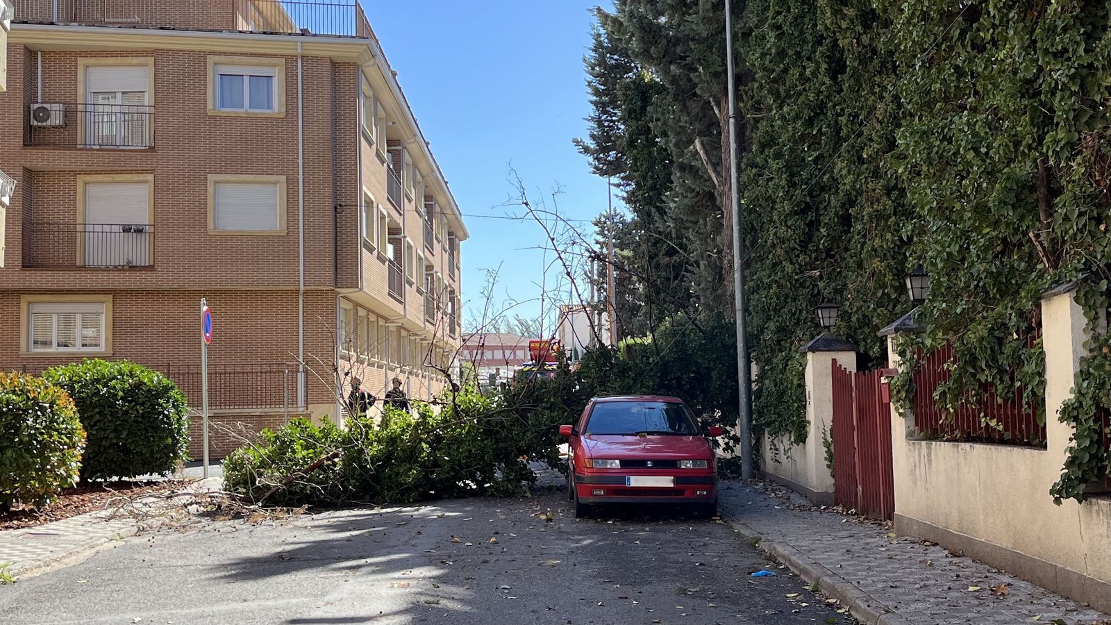 Los bomberos han intervenido por la caída de un árbol en Peñaranda