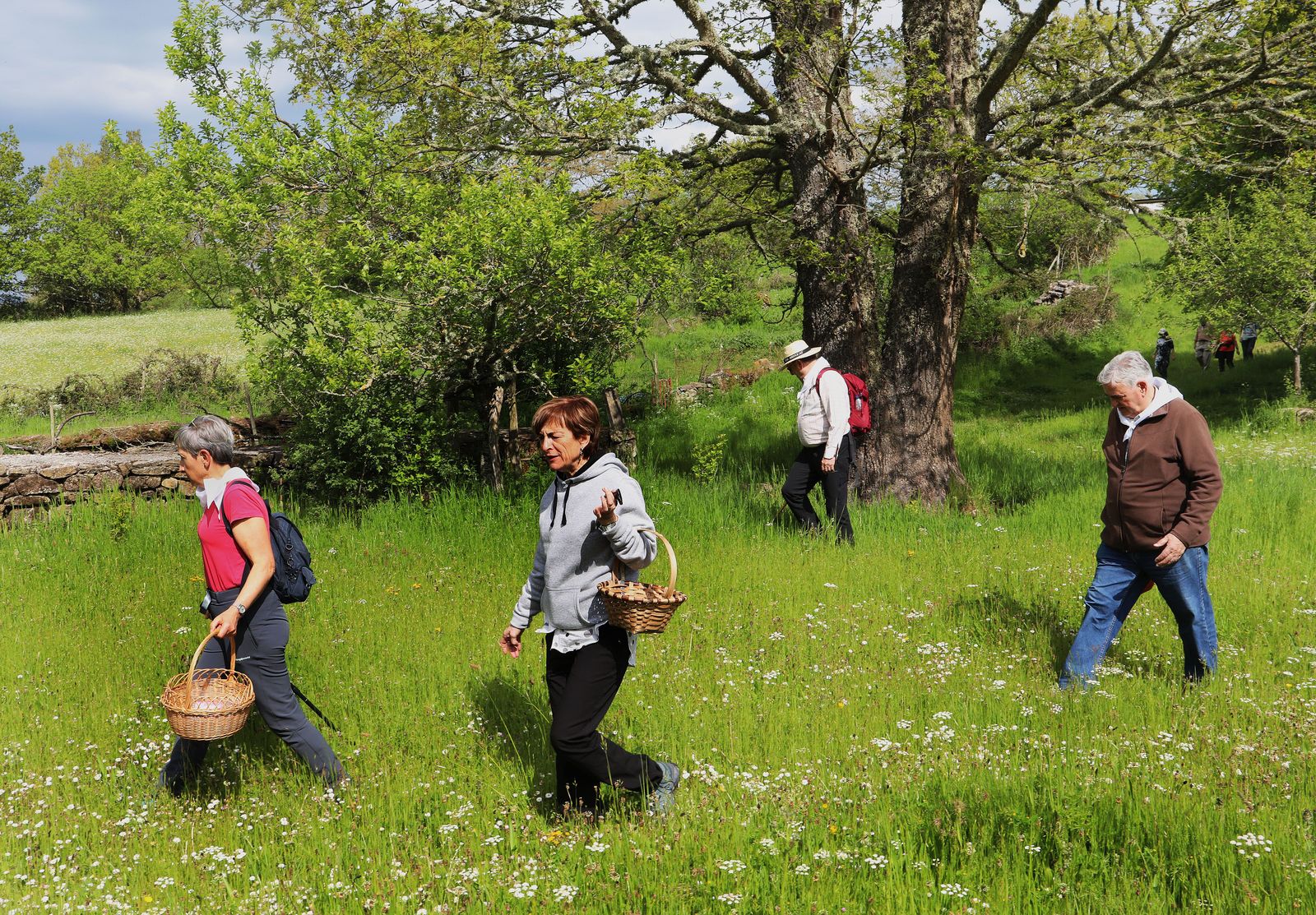 XX Encuentro de asociaciones micológicas de Castilla y León-ICAL