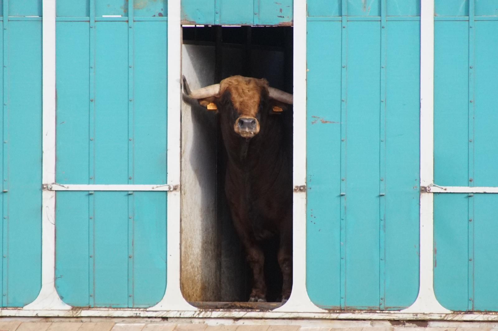 whatsapp-image-2023-09-08-at-19-29-11