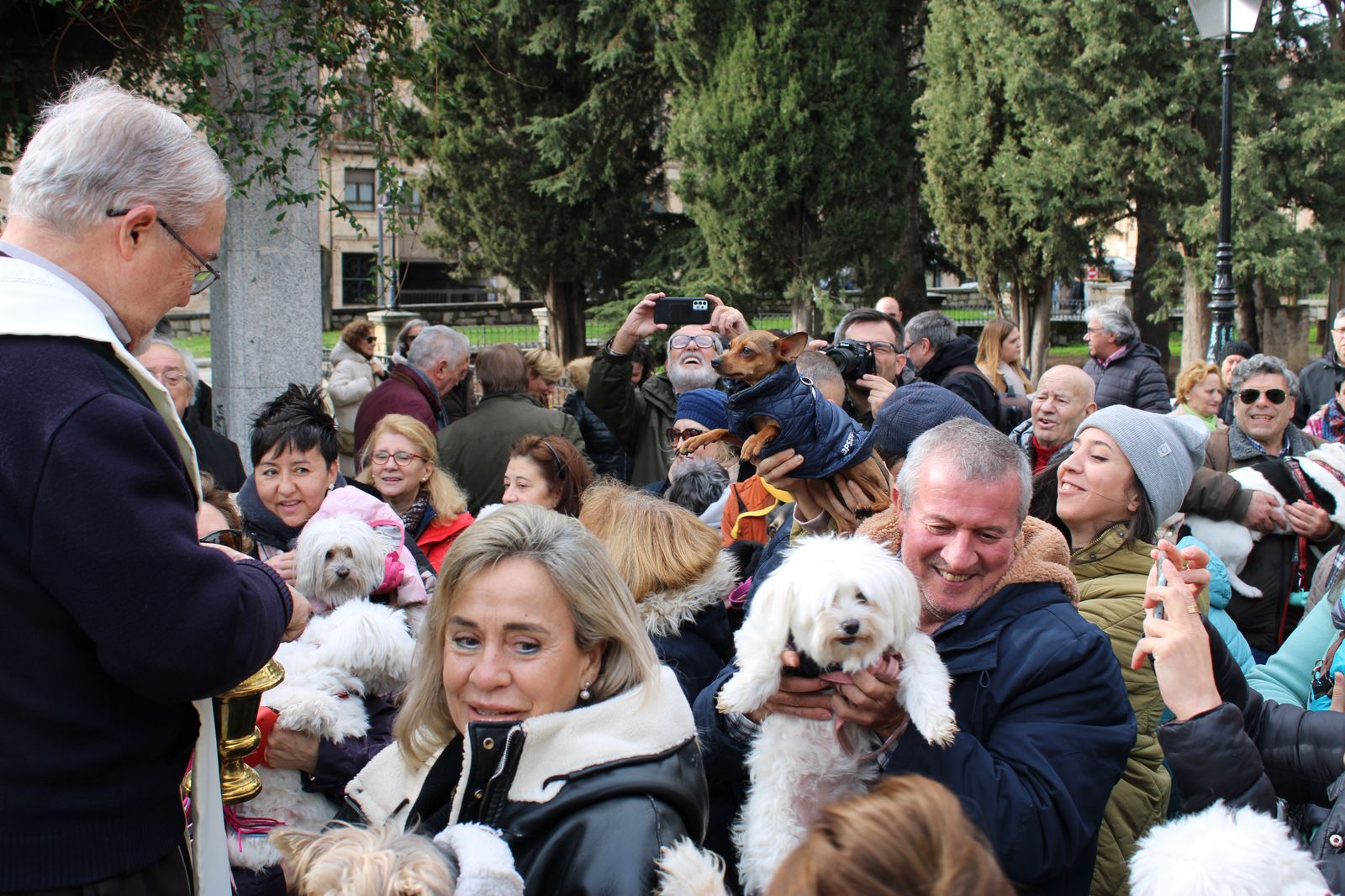 san-anton-bendicion-de-animales-2024-foto-s24h-84