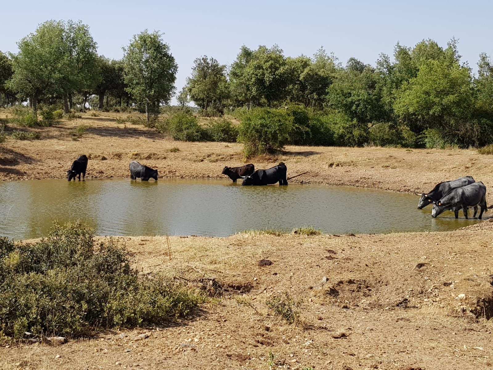 WhatsApp Image 2019 08 12 at 12.35.05