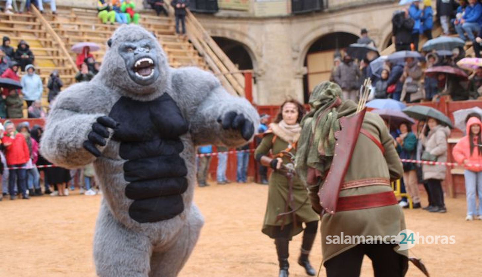 Desfile disfraz callejero Sábado Carnaval Ciudad Rodrigo 2025 (46)